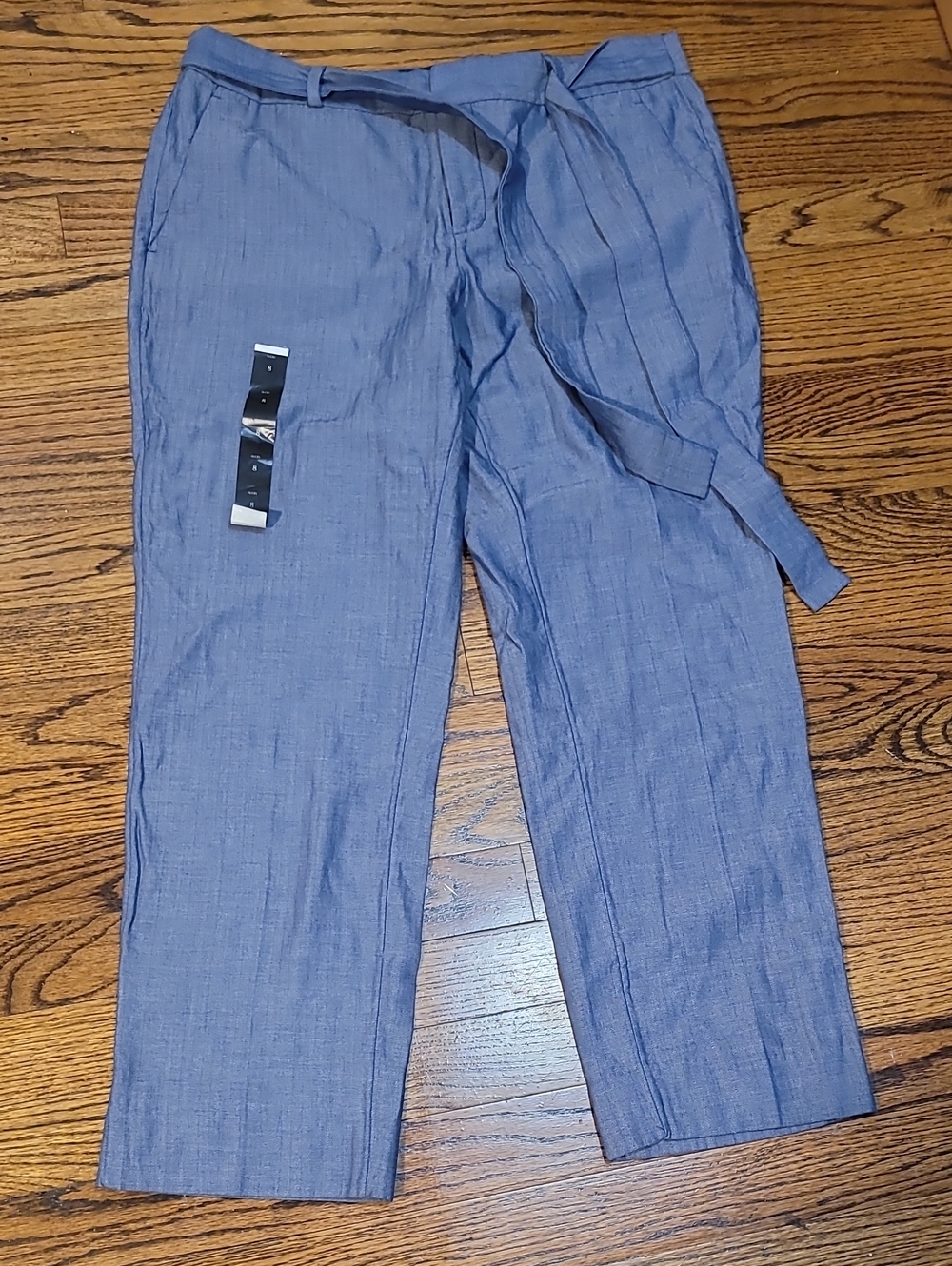 Banana Republic Avery- Blue Chinos